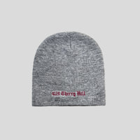 Thumbnail for GRAY BEANIE